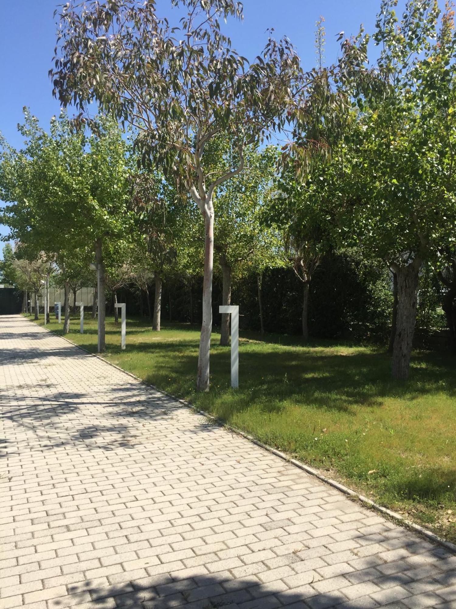 Camping & Residence Il Pioppeto Vasto Kültér fotó